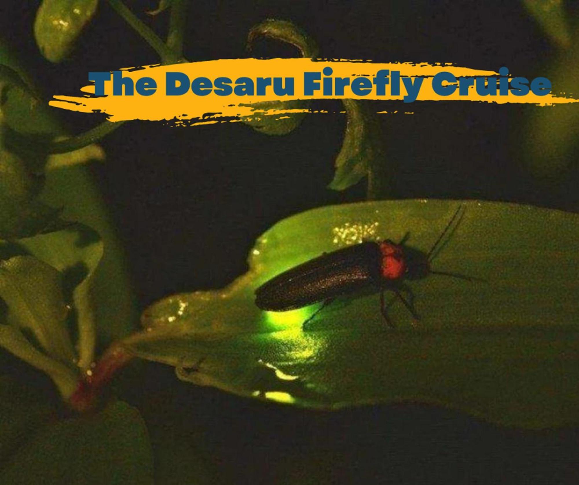 Desaru Johor By Glex Villa Ngoại thất bức ảnh